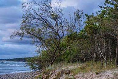 欧交易所平台下载-欧易（OKX）平台下载全面指南，安全、便捷开启数字资产交易